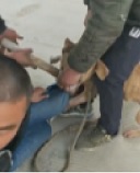 LOCKED ON! Pit-Bull Wont Let Go of Crying Dude