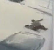 Girl Brutally Stabbed to Death on Snowy Parking Lot Ground