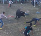 Bull Makes Short Work of Assholes in a Bull Ring