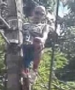 Dude Trying to Steal Electricity, Touches Wrong Wire. Sizzles