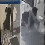 32 Year Old Female Sexually Assaulted and Strangled to Death