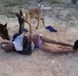 DAMN: 3 Huge Dogs Rip Car Thief Apart