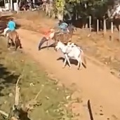 Mayhem on the Cowboy Ranch... Blue Shirt, Kills Machete man
