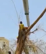 Final Destination .. The Falling Crane Edition