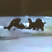 Elderly Woman Attacked by Two Large Dogs