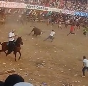 Bull Kills Man (2 Angles)