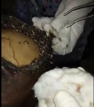 WTF is Going on With Homeboys Head