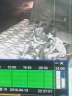 Affectionate Couple Waked Up on and Killed by Gunman