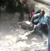 Father and Son Killed in Horrifically Brutal Bike Accident