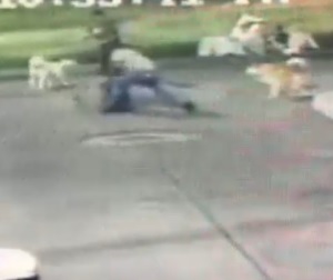 Mentally Ill Man Stabs College Student Walking His Dog to Death