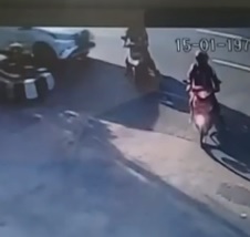 Moped Rider Gone Forever