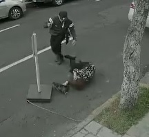 Old Woman Shot During Purse Theft