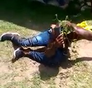 Little Tree Branch Won't Stop the Beating Homie