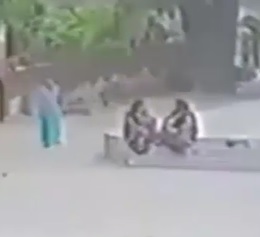 WOW: Final Destination Tree Falling Edition (Brutal)