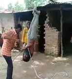 Brutal Pinata Torture of Thief 