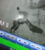 Headshot While Kids are Playing Soccer