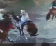 Woman Crushed by Horse That Wants Her Fat ass Off