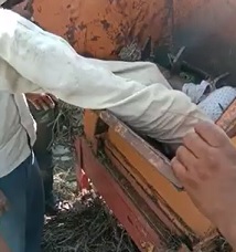 Farmer Eaten Head First by His Wood Chipper