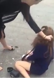 Hot Chicks Fight