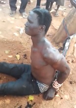 Caught Stealing, Tied to a Post, Beaten Like Pinata 