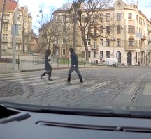 Woman Holding Dog Attacked on Crosswalk