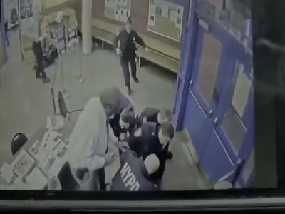 Assassin Opens Fire on Bronx Police Officers