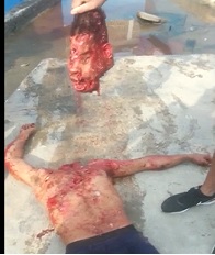 Don't Fuck with this Gang 