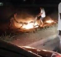 Nighttime BBQ in Cape Town (1 of 3 People Burned to Death)