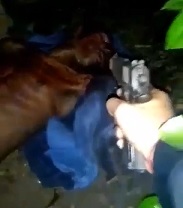 Make Sure to Choose the Right Gang in Brazil