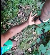 Thief Gets his Snooching Hand Shot