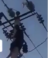 Idiot Chasing a Pigeon Fries Then Drops to Ground