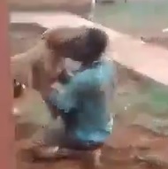 NEW ANGLE: Thief Mauled by Two Huge Dogs.