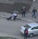 Dogs Not Taking any Shit