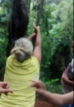 DAMN: Drunk Bitch Falls to her Death