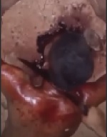 Gang Member Finishes Rival with Machete to the Head