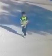 DAMN: Pack of Wild Dogs Attack Little Girl