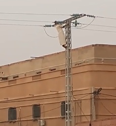 The Sizzle and Spark Suicide.