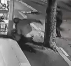 Chased Down and Stabbed to Death Multiple Times.