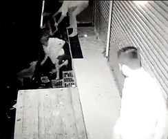 LOL: Crazy Jackal Attacks 3 Men.