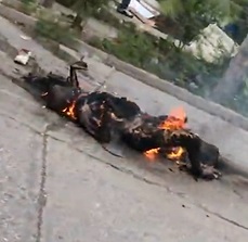 Quick Neighborhood BBQ