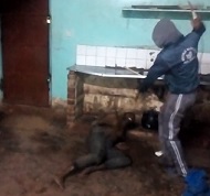 Thief Whipped and Beat Like a Dog.