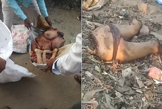 Woman Found In 15 Pieces Inside of Potato Sacks