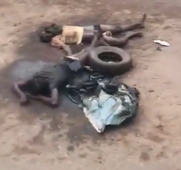 Midday BBQ .. Today's Specials is Thief. 