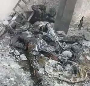 Not the Family BBQ They Had in Mind.