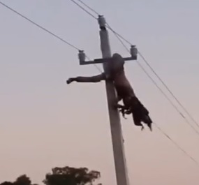 Cable Thief BBQ's and Flaps in the Wind.