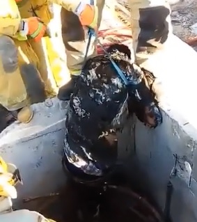 Cable Thief Fried to a Crisp.