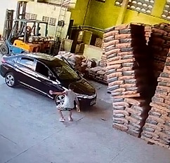 Crushed By Falling Cement Bags