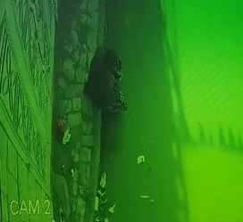 Patiently Waiting For the Perfect Car to Crush Your Head.