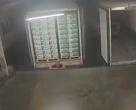 Worker Horrifically Crushed to Death