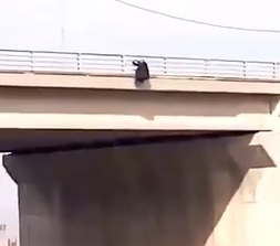 Elderly Mans Had Enough of The Bullshit